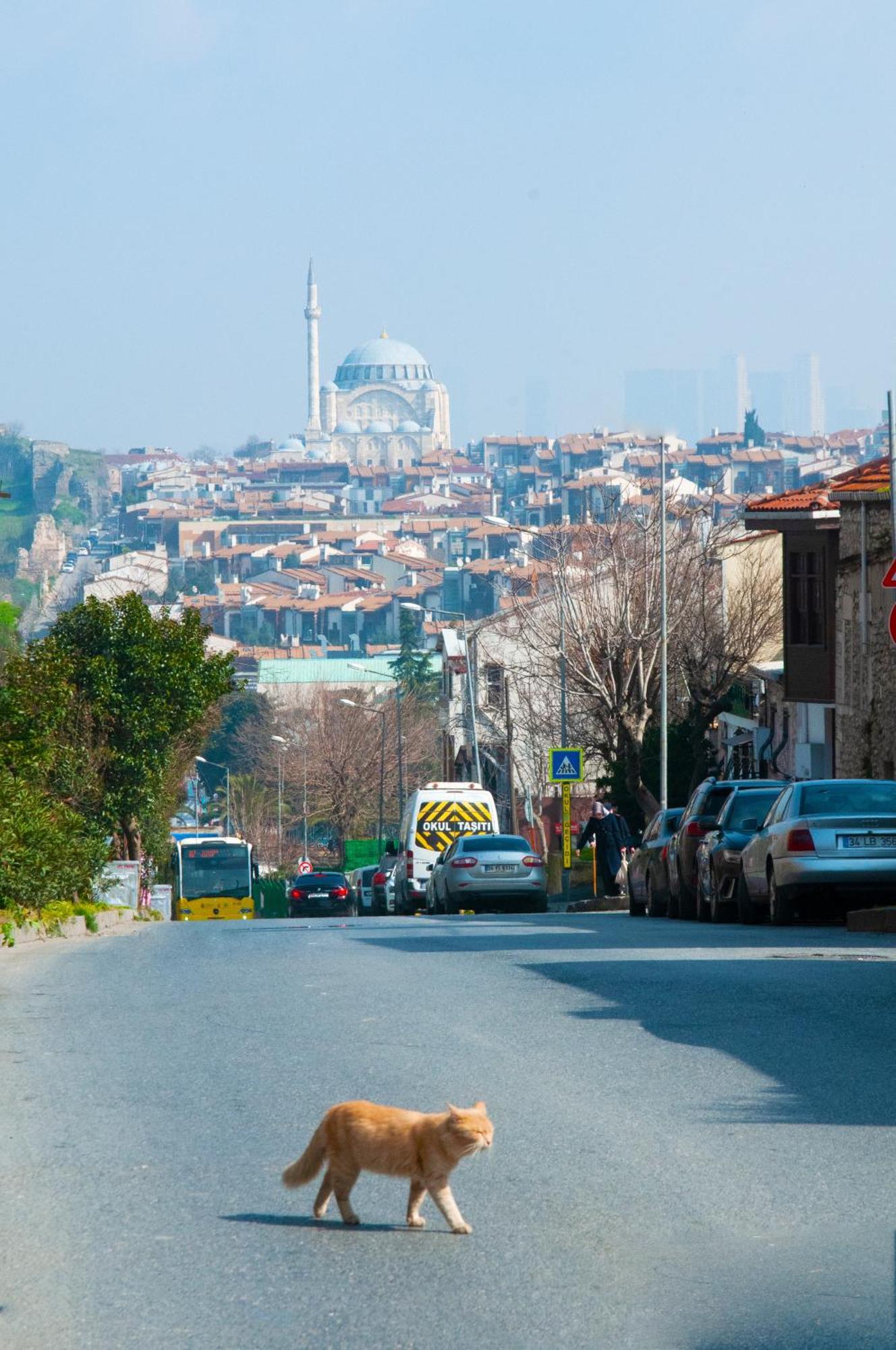 Istanbul Efes Hotel Exterior foto